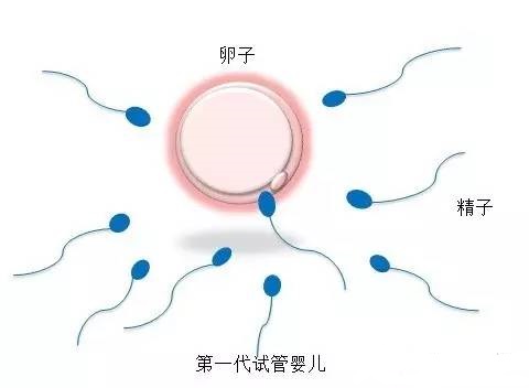 单身生子助孕机构生殖医学中心